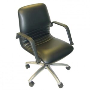 Meeting Chair
